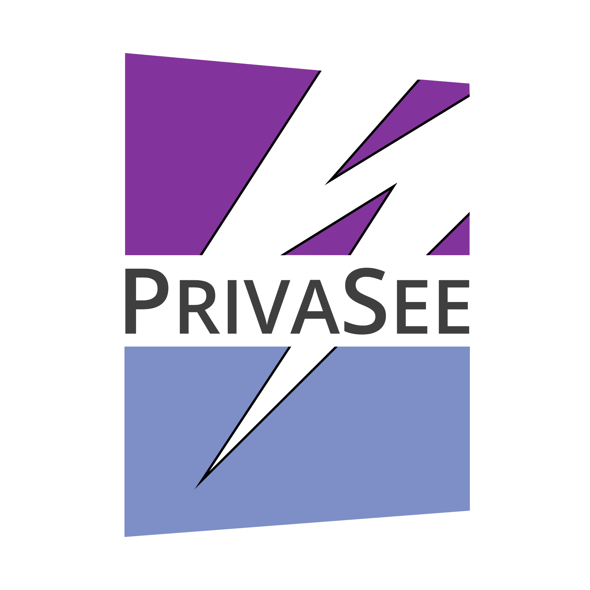 PrivaSee Logo-1